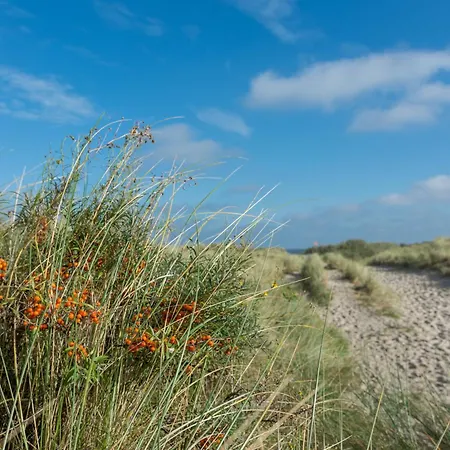 Deichblick Suederloog 38 * Spiekeroog