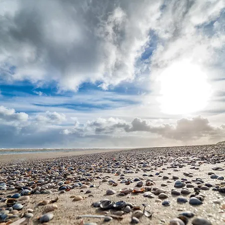 Deichblick Suederloog 38 Prázdninový dům