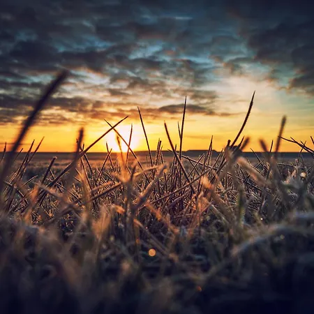 Prázdninový dům Deichblick Suederloog 38