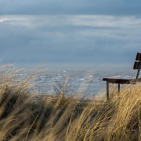 Prázdninový dům Deichblick Suederloog 38 *