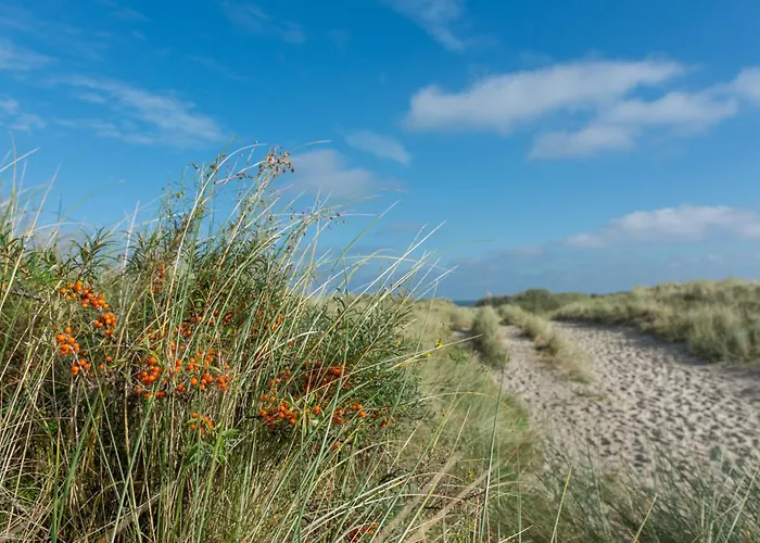 Deichblick Suederloog 38 * Шпикерог