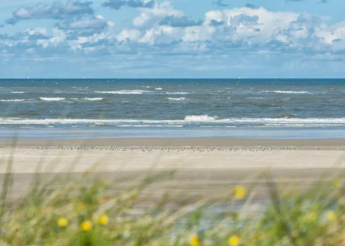 Deichblick Suederloog 38 Дом отдыха