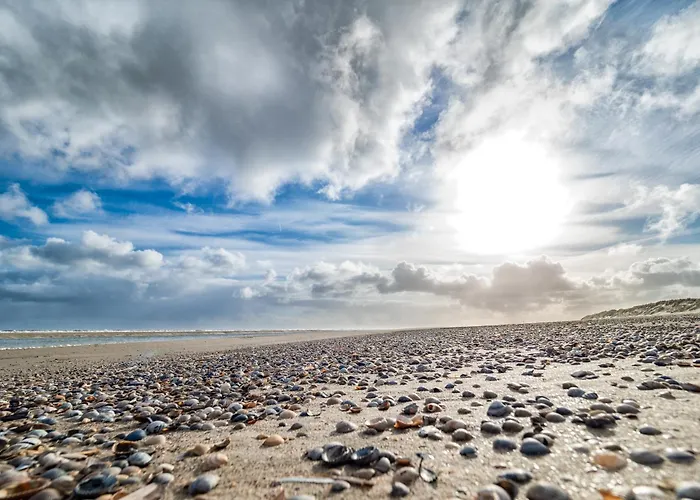 Deichblick Suederloog 38 Дом отдыха