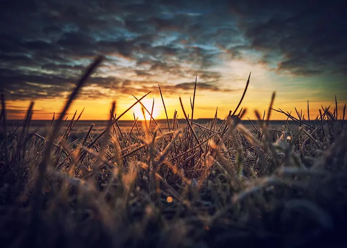 Дом отдыха Deichblick Suederloog 38