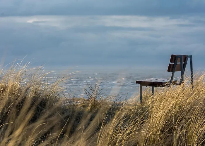 Дом отдыха Deichblick Suederloog 38 *